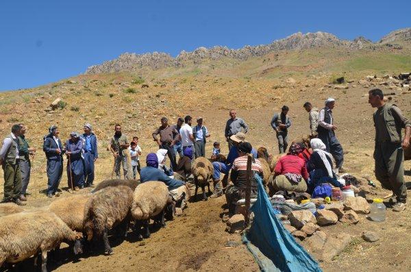 Kato Dağı, teröristlerden temizlendi