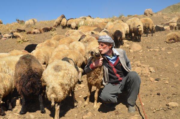 Kato Dağı, teröristlerden temizlendi