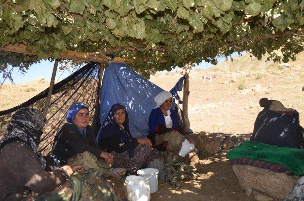 Kato Dağı, teröristlerden temizlendi