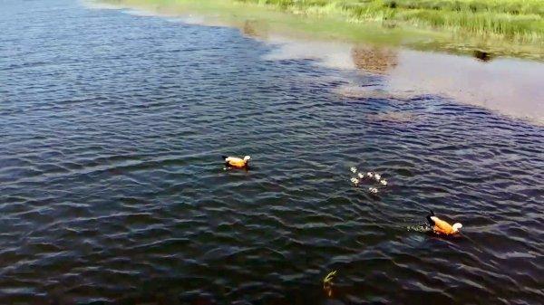 Gölbel Göleti'nin muhteşem manzarası