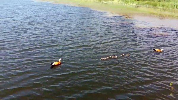 Gölbel Göleti'nin muhteşem manzarası