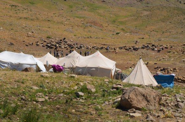 Kato Dağı, teröristlerden temizlendi