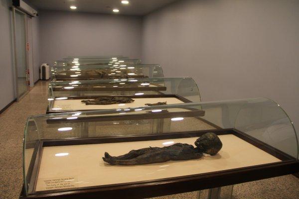 Amasya'da 800 yıllık Müslüman mumyalar sergileniyor