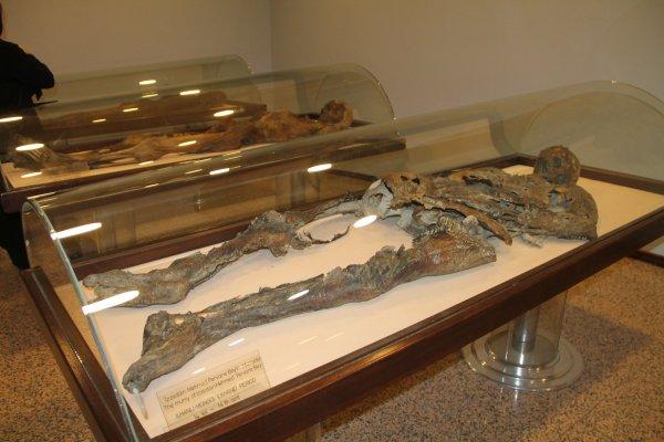 Amasya'da 800 yıllık Müslüman mumyalar sergileniyor