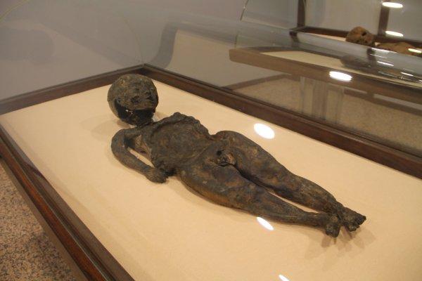 Amasya'da 800 yıllık Müslüman mumyalar sergileniyor