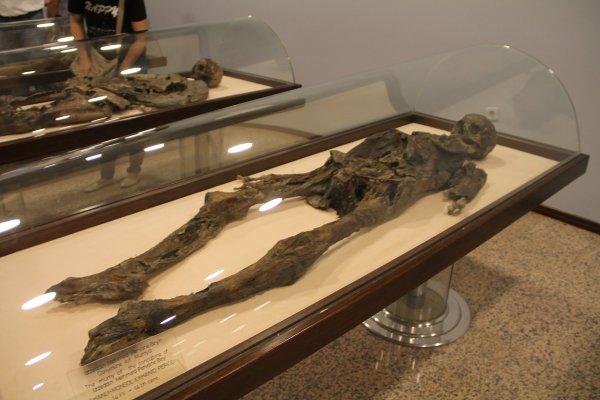 Amasya'da 800 yıllık Müslüman mumyalar sergileniyor