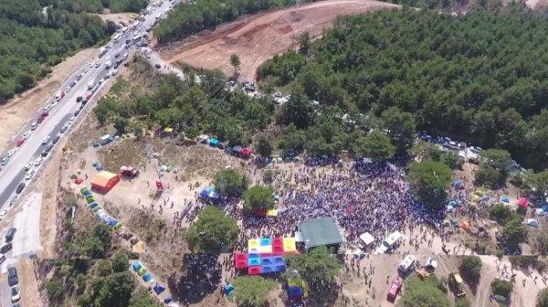 Kaz Dağları'nda ağaç katliamına karşı eylem