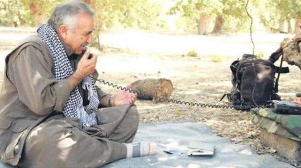 Terör örgütü PKK, Amerika'dan yardım bekliyor