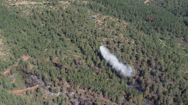 Bursa'da 30 hektarlık alan yandı