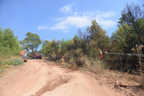 Antalya'da 1 hektar orman yandı