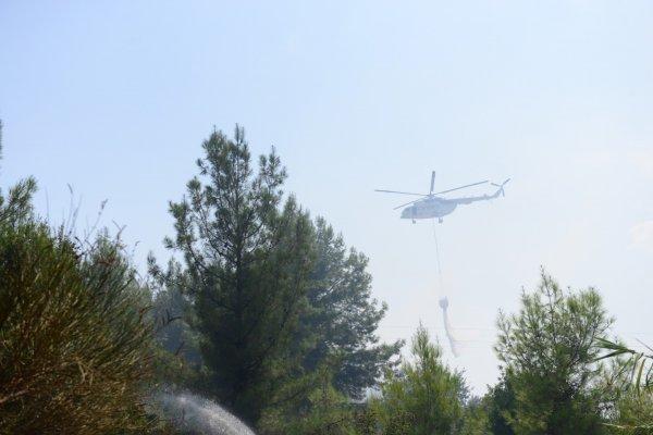 Antalya'da 1 hektar orman yandı