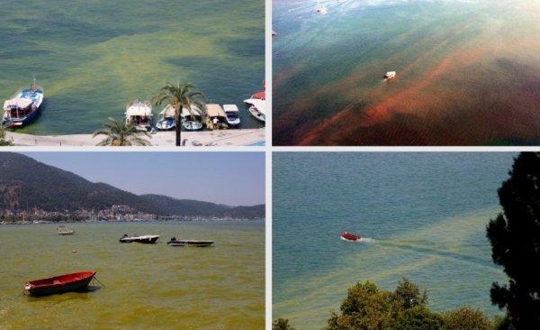 Fethiye Belediyesi körfezde yaşanan krize çözüm bulamadı