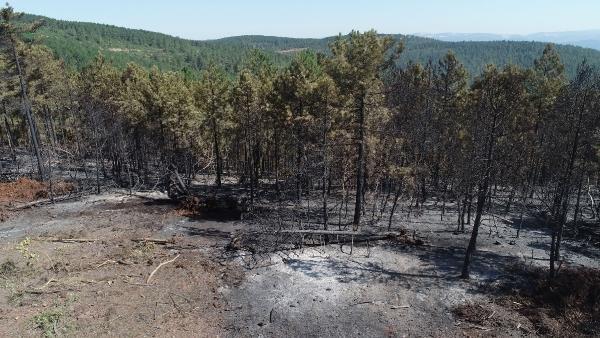 Bursa'da 30 hektarlık alan yandı