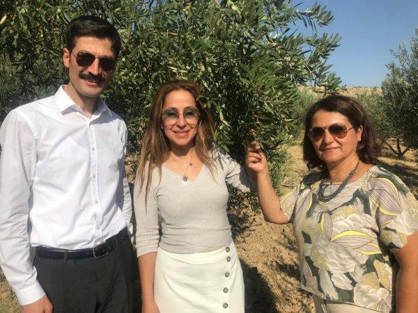 Mardin Derik zeytinyağı dünyanın en iyisi seçildi