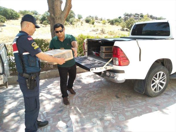 Saka kuşu yakalayanlara 81 bin 795 lira ceza