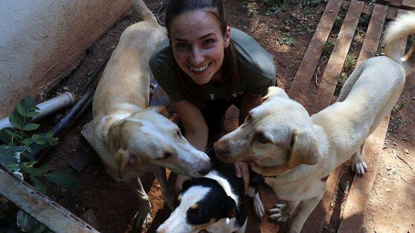 Sokak hayvanlarının koruyucu meleği 'Hollandalı gelin'