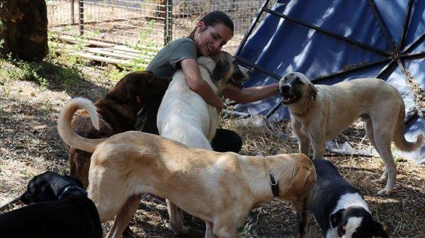 Sokak hayvanlarının koruyucu meleği 'Hollandalı gelin'