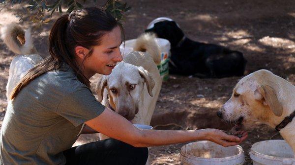 Sokak hayvanlarının koruyucu meleği 'Hollandalı gelin'