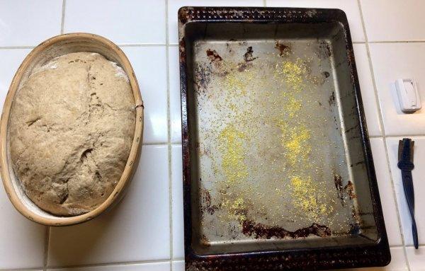 4500 yıllık maya ile ekmek pişirdi