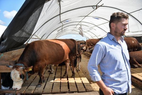 Hayvan pazarında arife günü hareketliliği