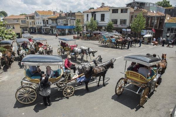 Büyükada'da atlı ve akülü faytoncular birbirine girdi