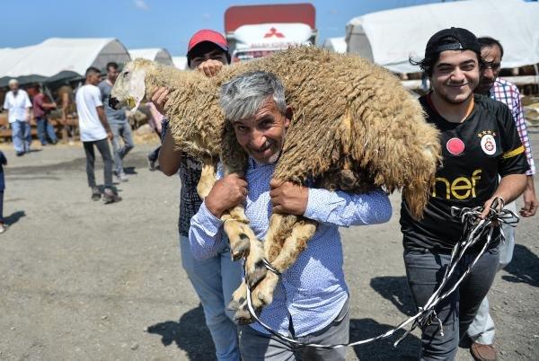 Hayvan pazarında arife günü hareketliliği