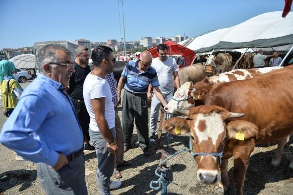 Hayvan pazarında arife günü hareketliliği
