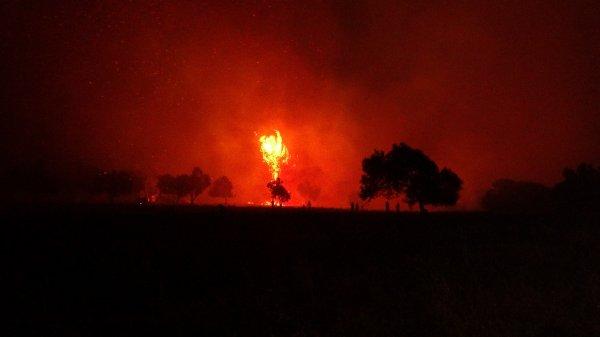 Tarihi Gelibolu yarımadasında orman yangını