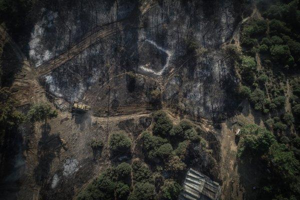 Tarihi Gelibolu yarımadasında orman yangını