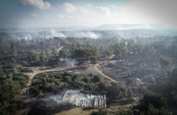 Tarihi Gelibolu yarımadasında orman yangını