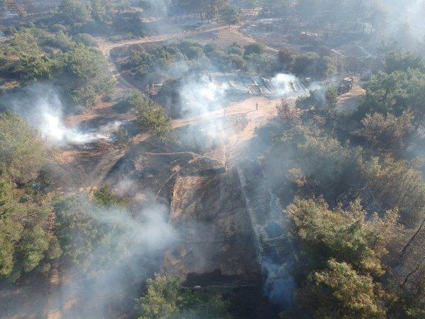 Tarihi Gelibolu yarımadasında orman yangını