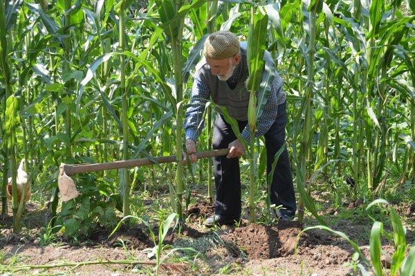 104 yaşındaki Mustafa Dede'den gençlik sırları