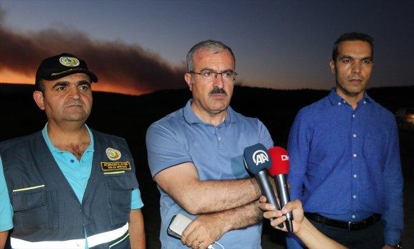 Kütahya'daki yangın kontrol altına alındı, 80 hektar alan kül oldu