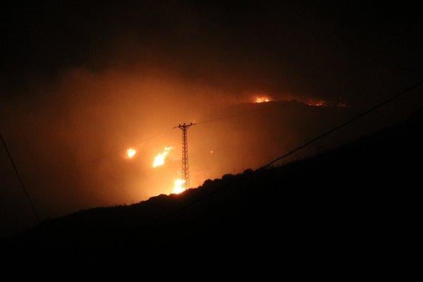 Marmara Adası'nda 80 hektar alan kül oldu