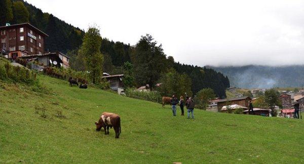Ayder Yaylası'nda salıncak işgali