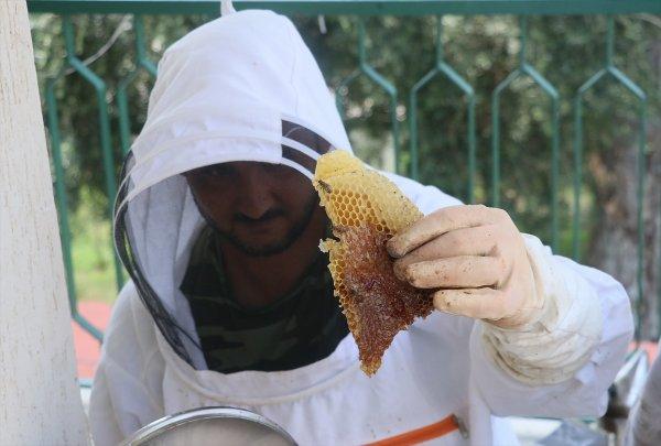 Hataylı ev sahibi çatıdan 15 kilogram bal elde etti