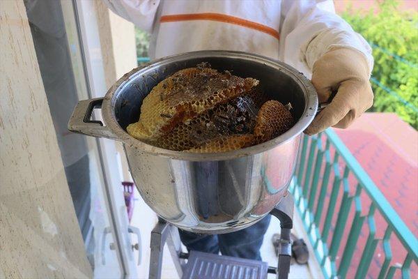 Hataylı ev sahibi çatıdan 15 kilogram bal elde etti