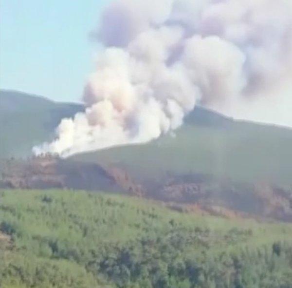 Farklı noktalarda üst üste orman yangınları