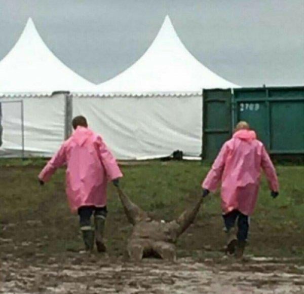 Rusya'daki festivalde bir kişi ölü bulundu