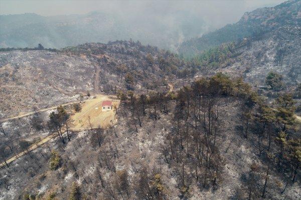İzmir'de 500 hektar orman yandı