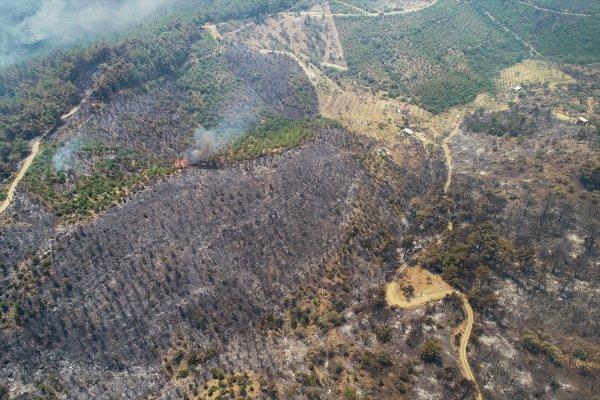 İzmir'de 500 hektar orman yandı