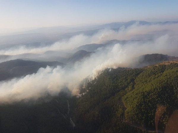 İzmir'deki orman yangınına teknolojik destek
