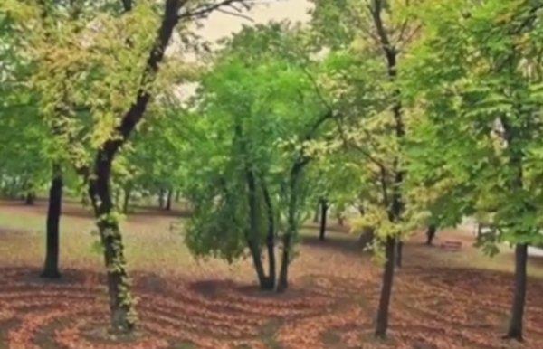 Birkaç saatlik ömrü olan sanat eserleri büyülüyor