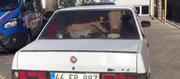 5 kişi çaldıkları hayvanları kaçırırken yakalandı