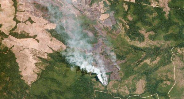 Bolivya'dan Amazon ormanları üzerinden uçuşlara yasak