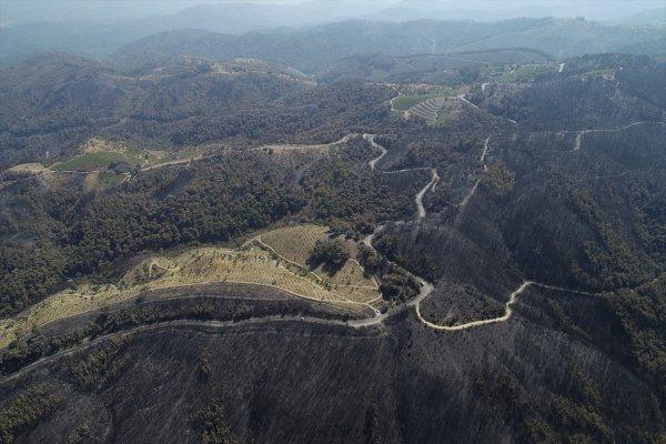 Tunç Soyer'e göre İzmir'de yanan alan daha büyük