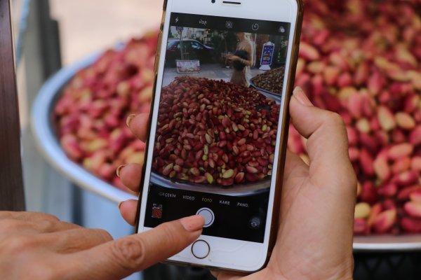 Antep fıstığının kilosu 50 liraya satılıyor