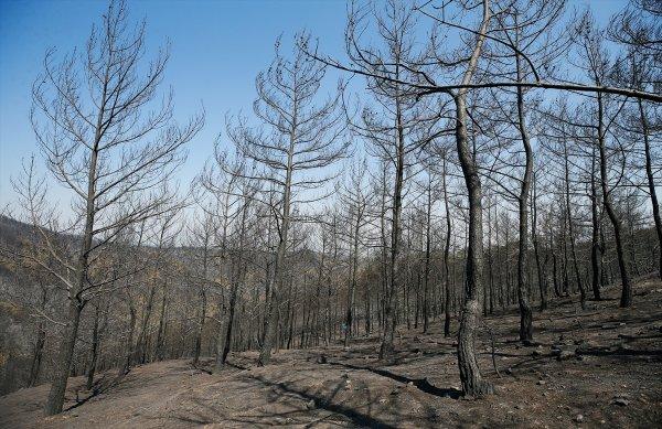Tunç Soyer'e göre İzmir'de yanan alan daha büyük