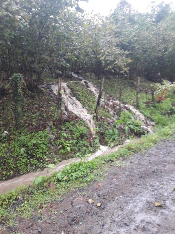 Samsun'daki sel nedeniyle 2 kişi hayatını kaybetti