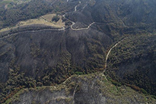 Tunç Soyer'e göre İzmir'de yanan alan daha büyük